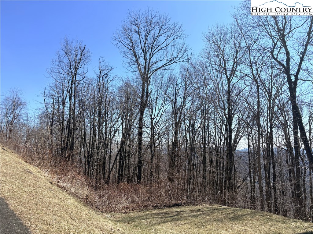 Lot 68 Elk Creek Mountain Parkway Property Photo 12