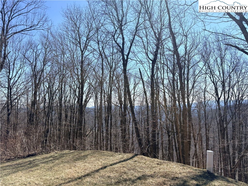 Lot 68 Elk Creek Mountain Parkway Property Photo 13