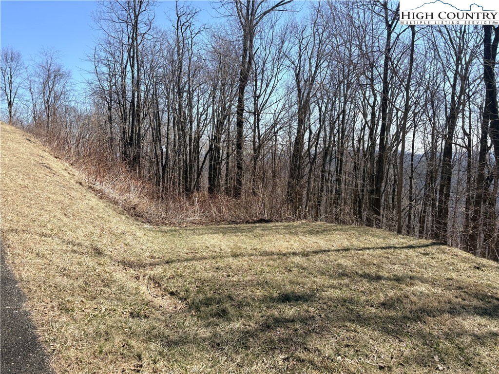 Lot 68 Elk Creek Mountain Parkway Property Photo 15