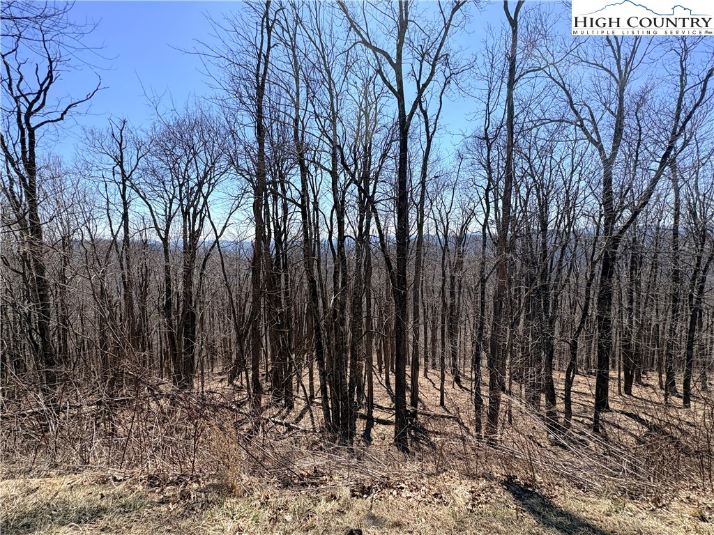 Lot 68 Elk Creek Mountain Parkway Property Photo 17