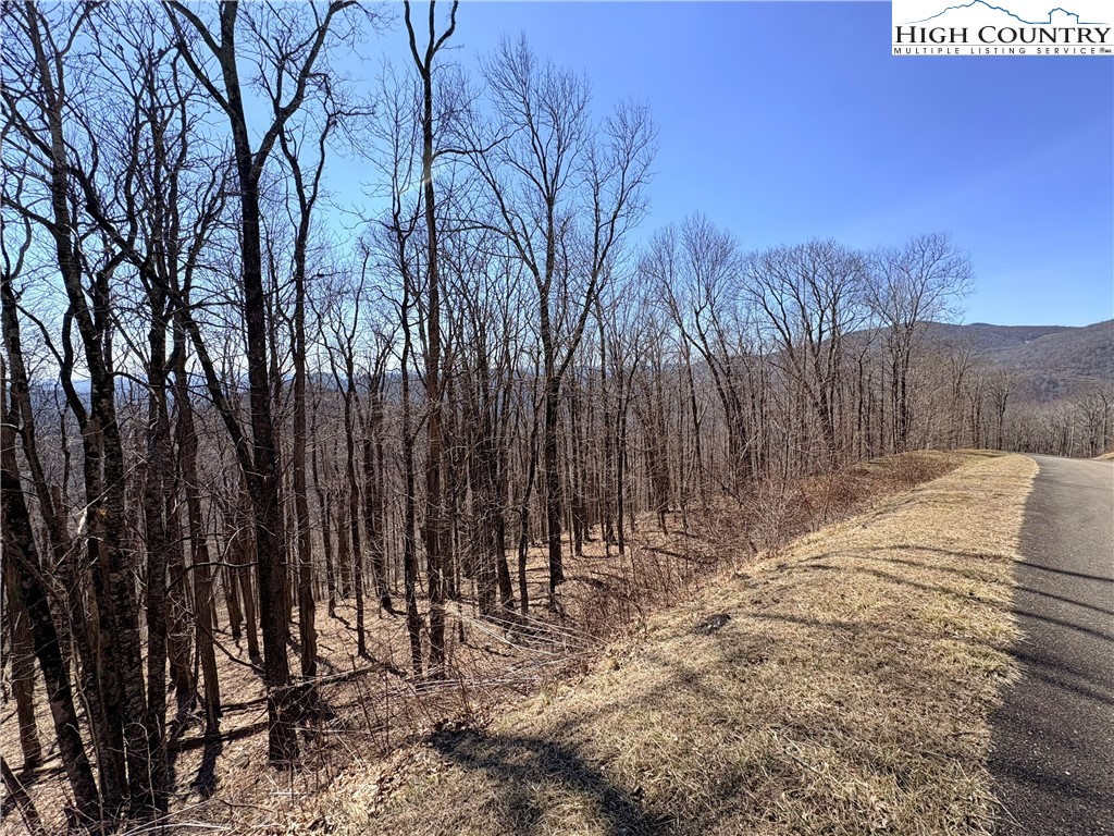 Lot 68 Elk Creek Mountain Parkway Property Photo 18