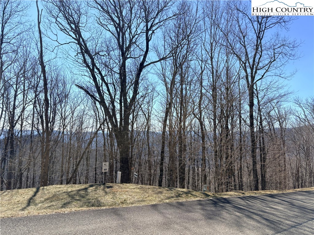 Lot 68 Elk Creek Mountain Parkway Property Photo 20