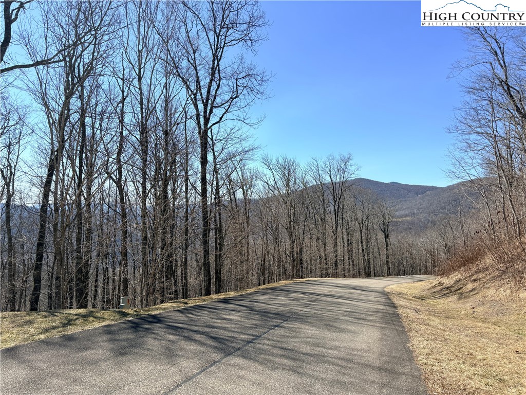 Lot 68 Elk Creek Mountain Parkway Property Photo 21