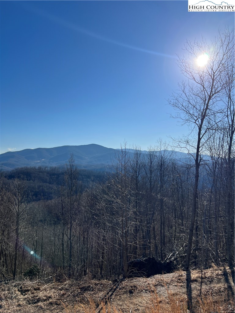 Lot #2b Falls Creek Parkway Property Photo 1