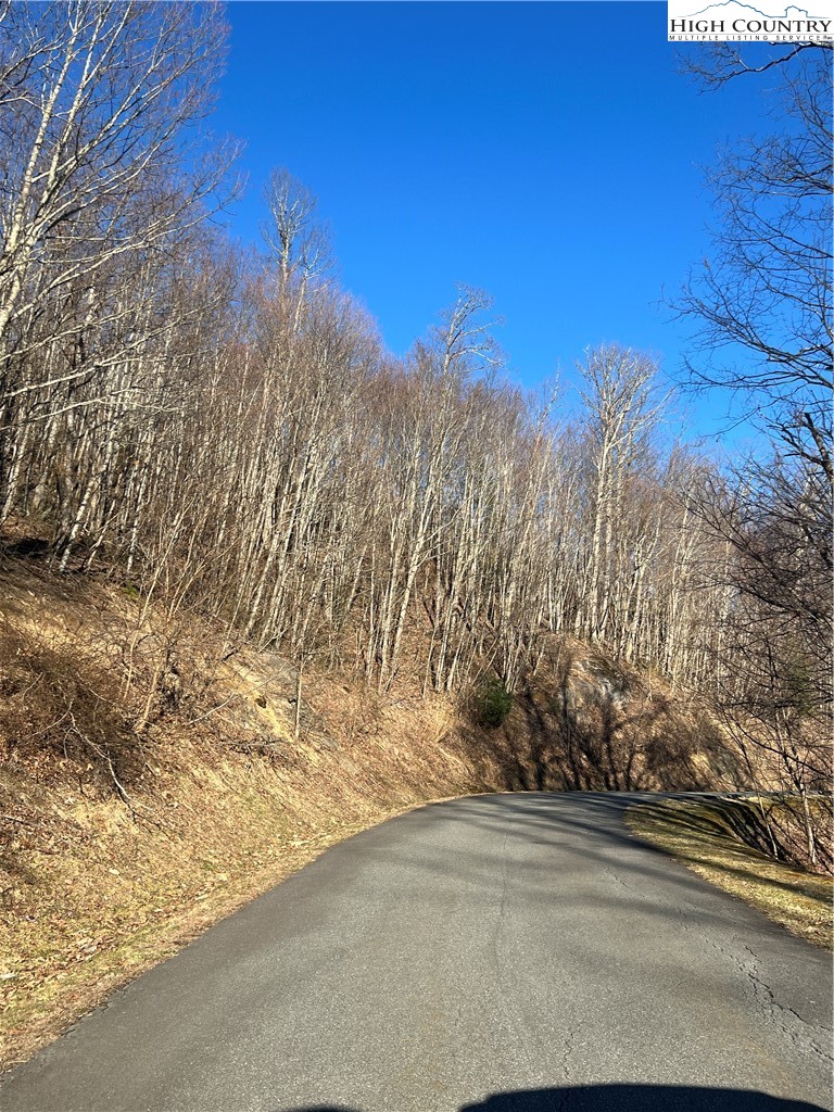 Lot #2b Falls Creek Parkway Property Photo 2