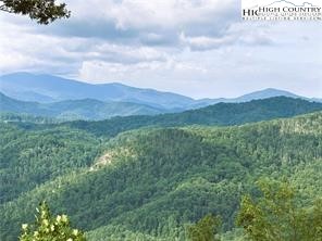 Lot #2b Falls Creek Parkway Property Photo 4