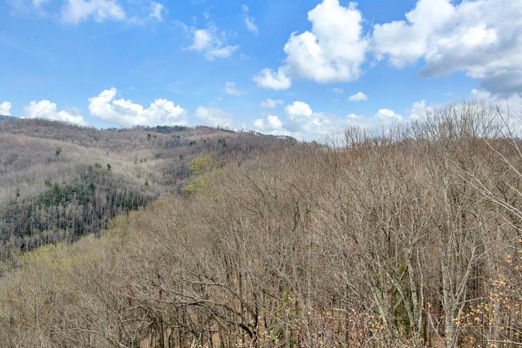Tbd Buckeye Road Property Photo 5