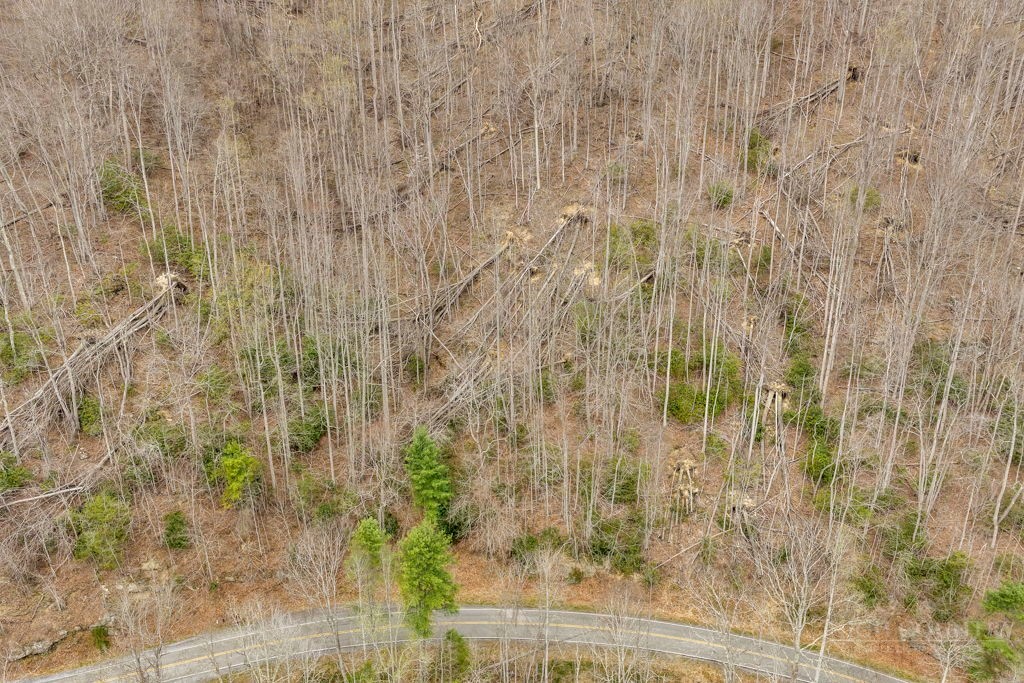 Tbd Buckeye Road Property Photo 7