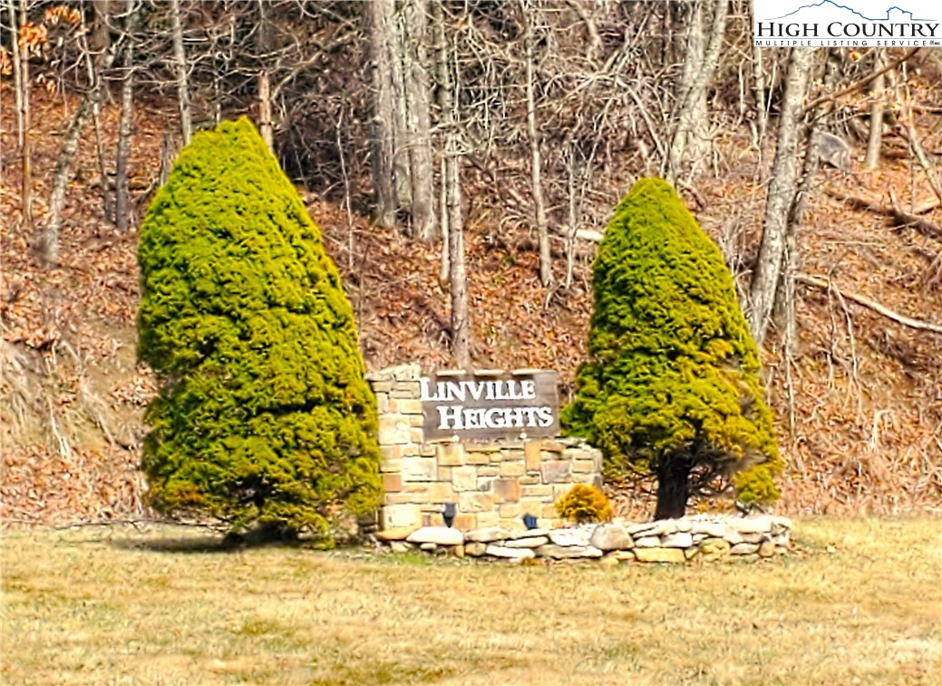 Lot 67 Linhigh Drive Property Photo 1