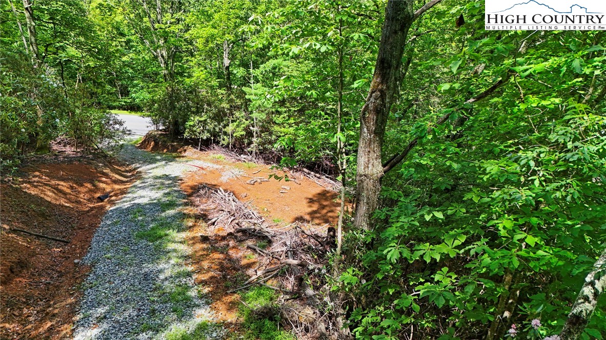 Tbd Shulls Mill Road Property Photo 1