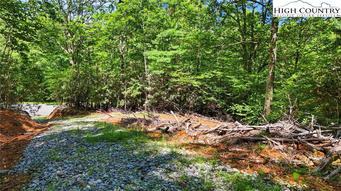 Tbd Shulls Mill Road Property Photo 5