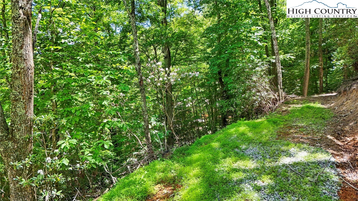 Tbd Shulls Mill Road Property Photo 6