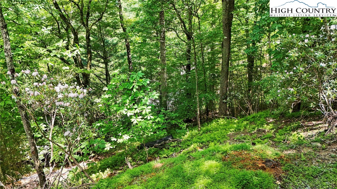 Tbd Shulls Mill Road Property Photo 12