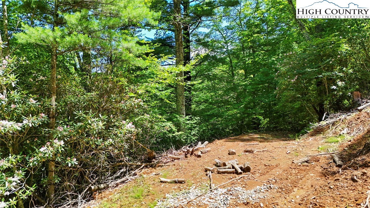 Tbd Shulls Mill Road Property Photo 13