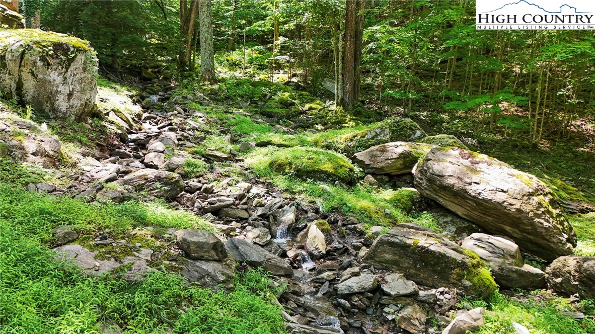 Tbd Shulls Mill Road Property Photo 15