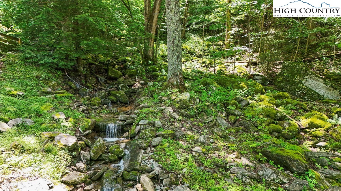 Tbd Shulls Mill Road Property Photo 16
