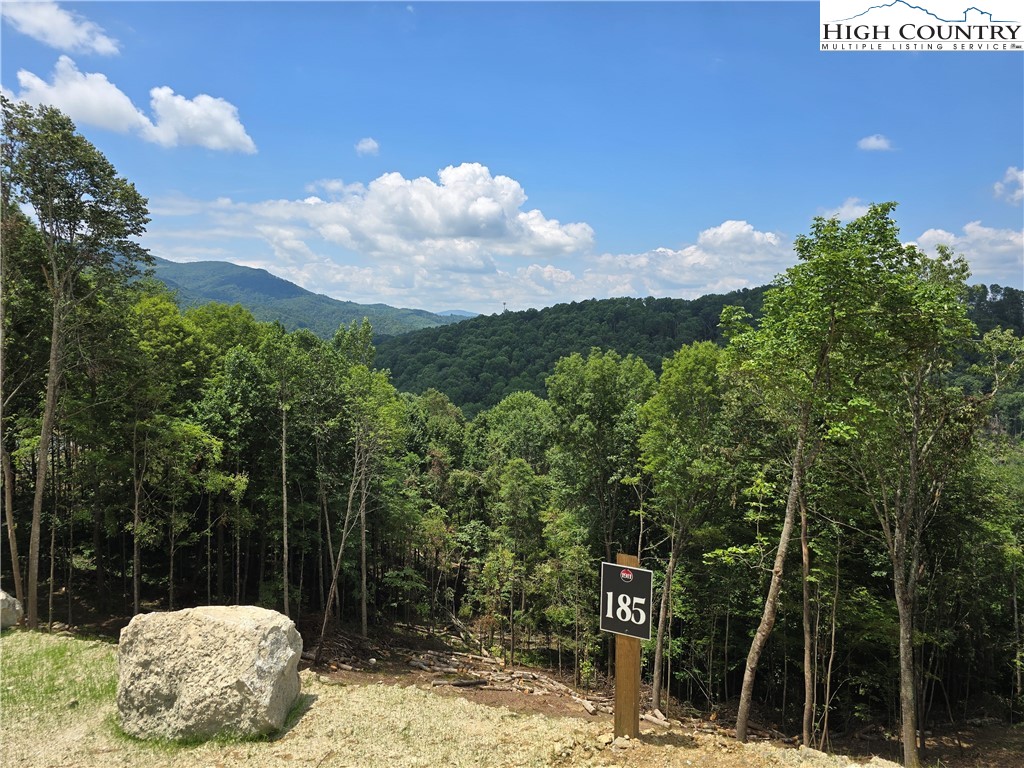 Lot 185 Raspberry Lane Property Photo 1