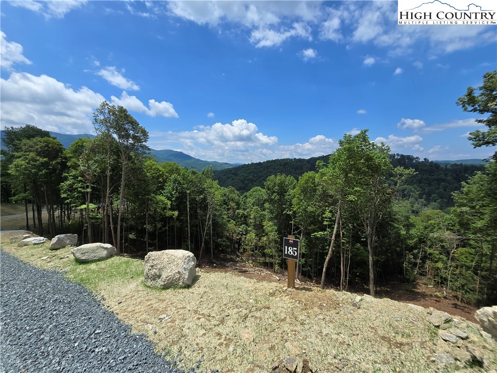 Lot 185 Raspberry Lane Property Photo 2