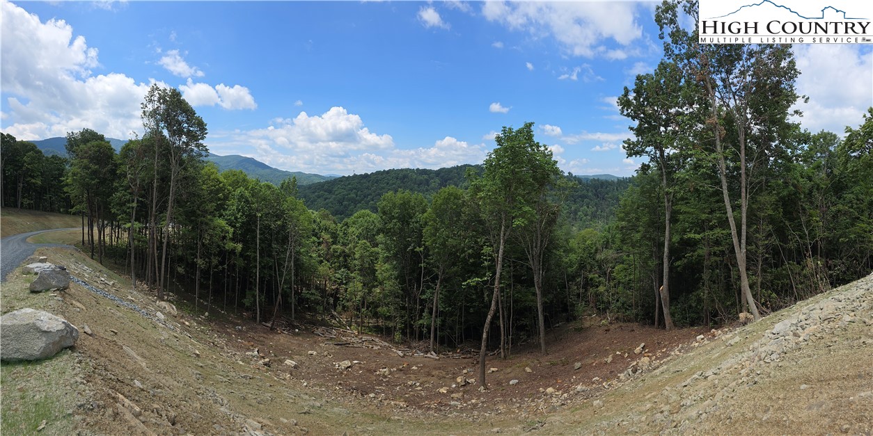Lot 185 Raspberry Lane Property Photo 3