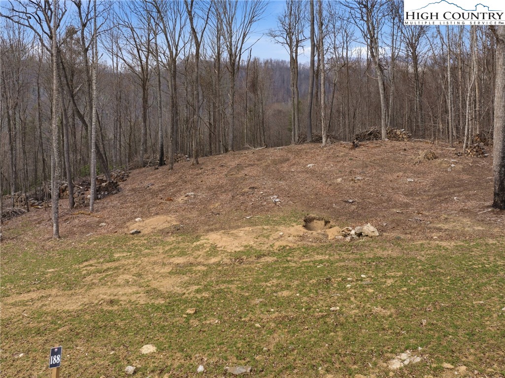 Lot 185 Raspberry Lane Property Photo 5
