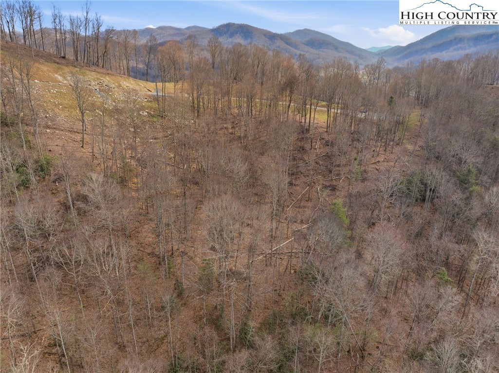 Lot 185 Raspberry Lane Property Photo 8