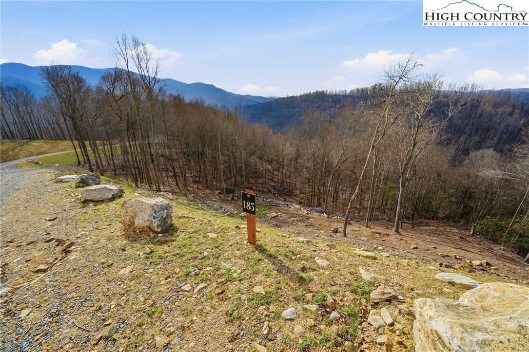 Lot 185 Raspberry Lane Property Photo 9
