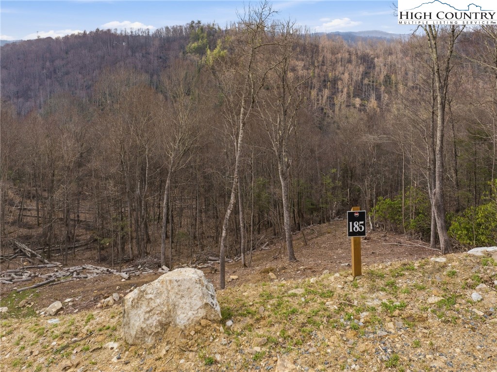 Lot 185 Raspberry Lane Property Photo 11