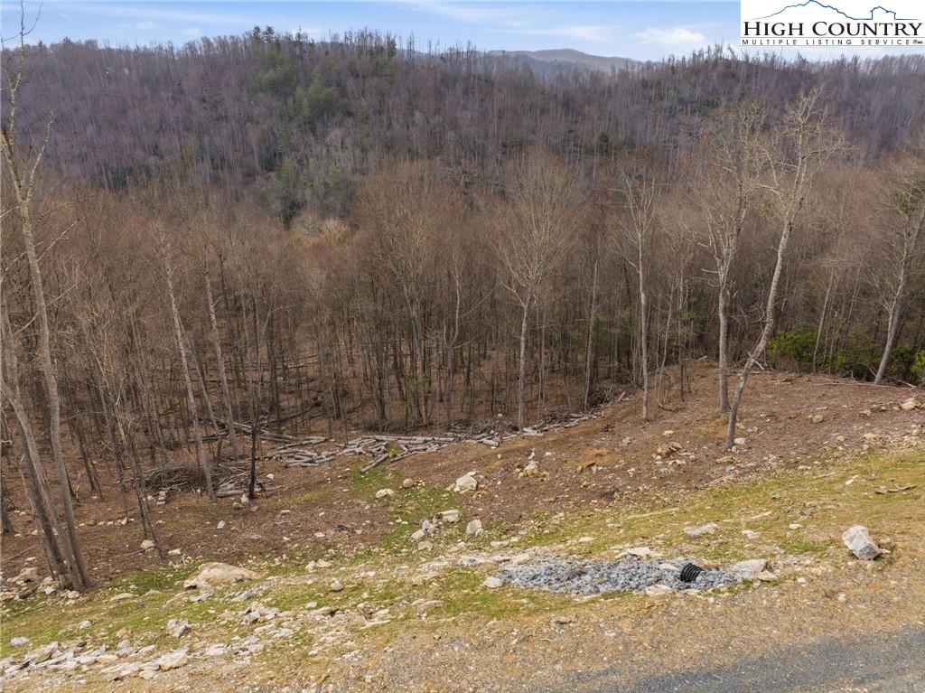 Lot 185 Raspberry Lane Property Photo 12