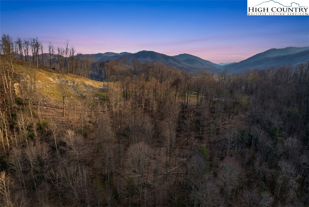 Lot 185 Raspberry Lane Property Photo 17