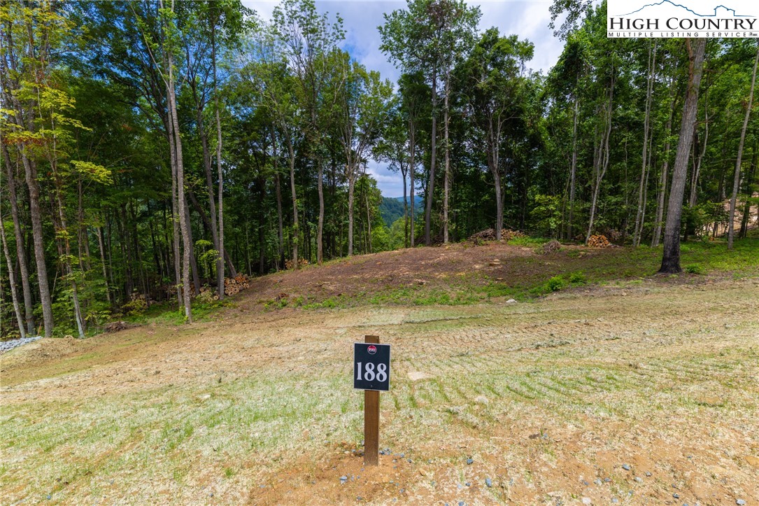 Lot 188 Raspberry Lane Property Photo 1