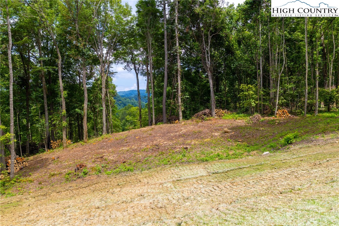 Lot 188 Raspberry Lane Property Photo 2