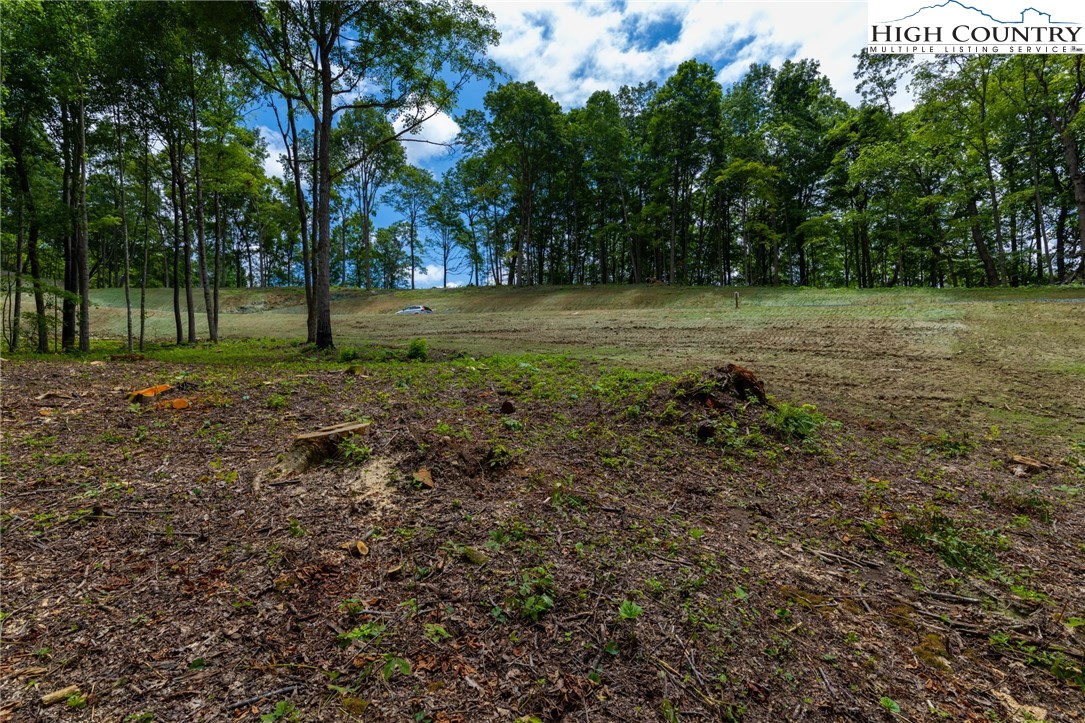 Lot 188 Raspberry Lane Property Photo 4