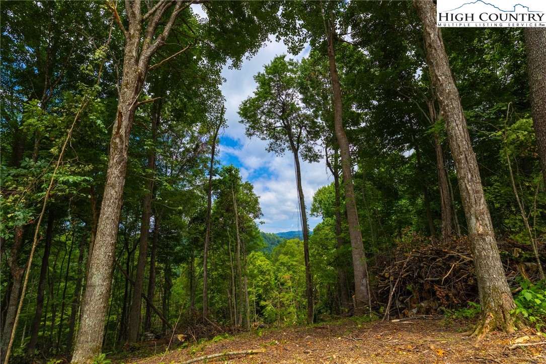 Lot 188 Raspberry Lane Property Photo 5