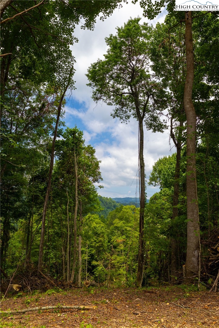 Lot 188 Raspberry Lane Property Photo 6