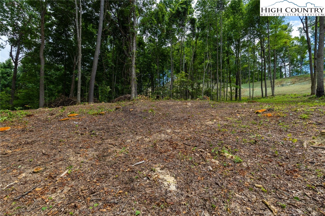 Lot 188 Raspberry Lane Property Photo 7