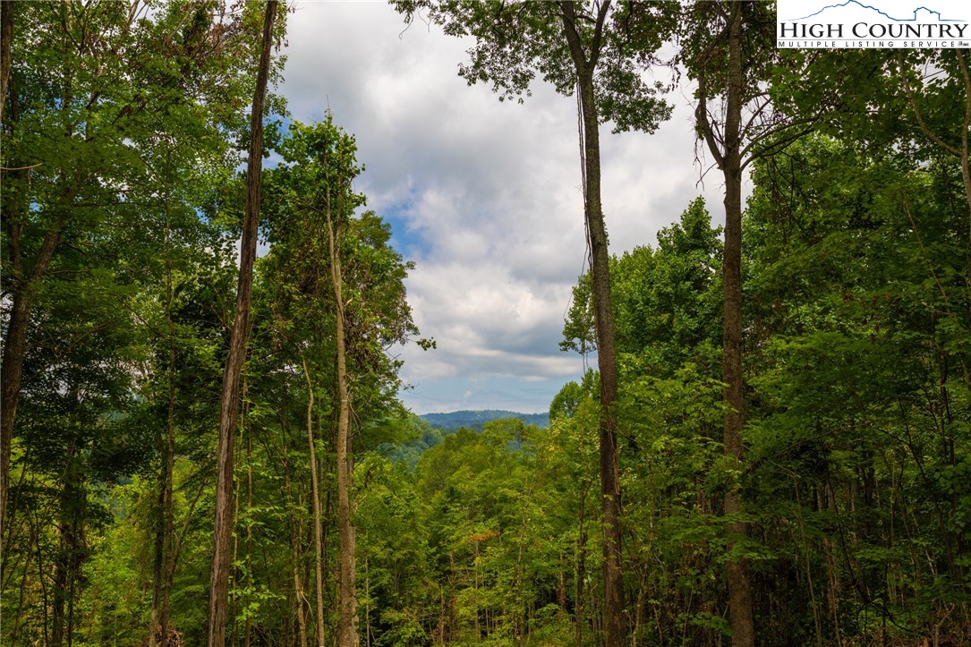Lot 188 Raspberry Lane Property Photo 8