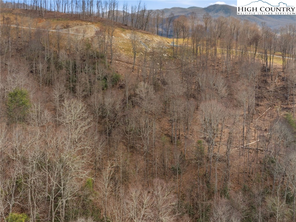 Lot 188 Raspberry Lane Property Photo 10