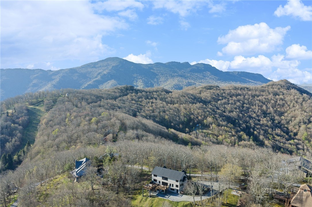 351 Windy Knob Trail Property Photo 49