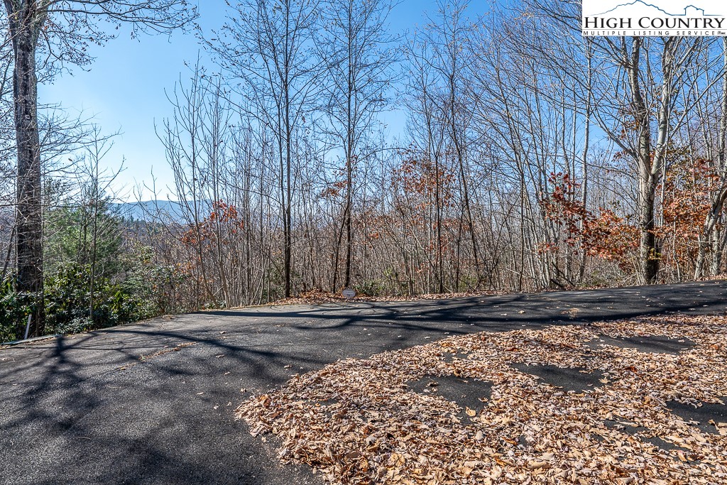 Lot 79 Bear Creek Road Property Photo 1