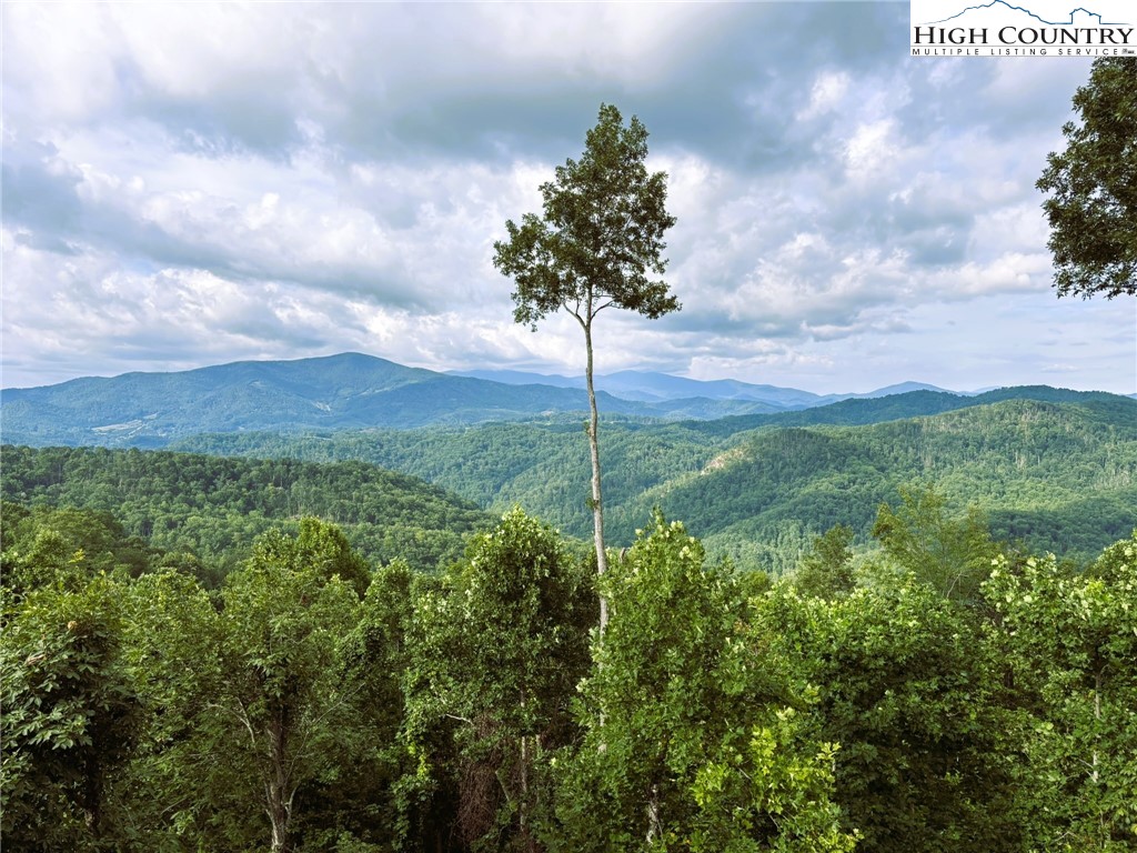 Lot #2A Falls Creek Parkway Property Photo 1