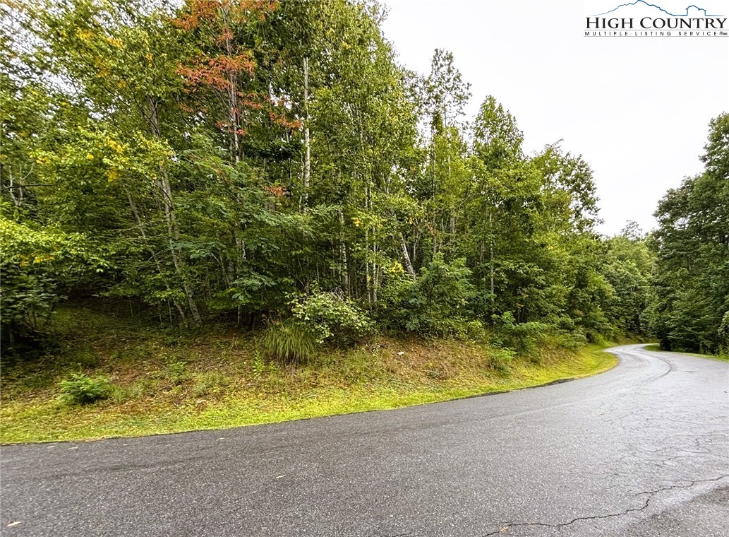 Lot #2a Falls Creek Parkway Property Photo 2