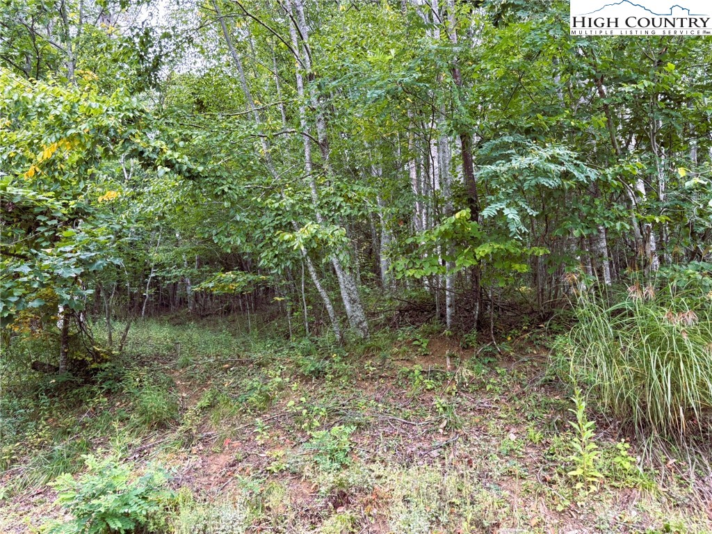 Lot #2a Falls Creek Parkway Property Photo 3