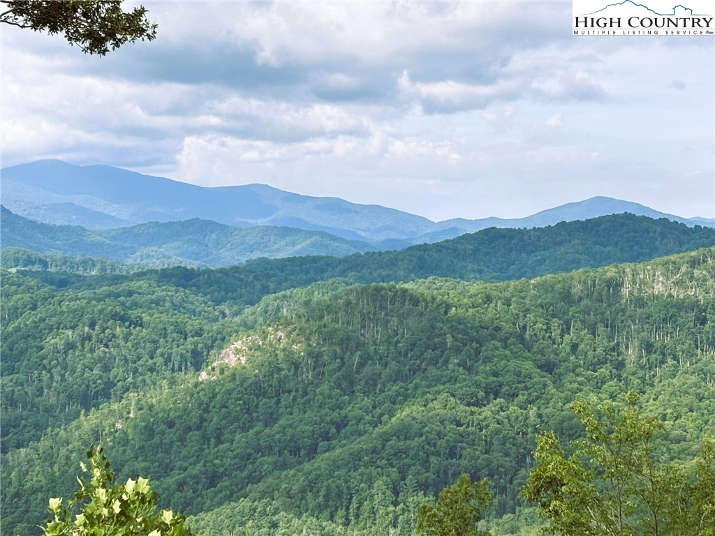 Lot #2a Falls Creek Parkway Property Photo 4