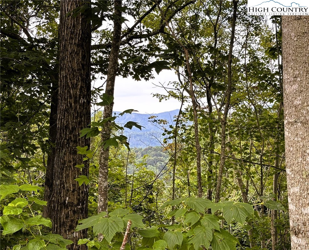 Lot #2a Falls Creek Parkway Property Photo 5