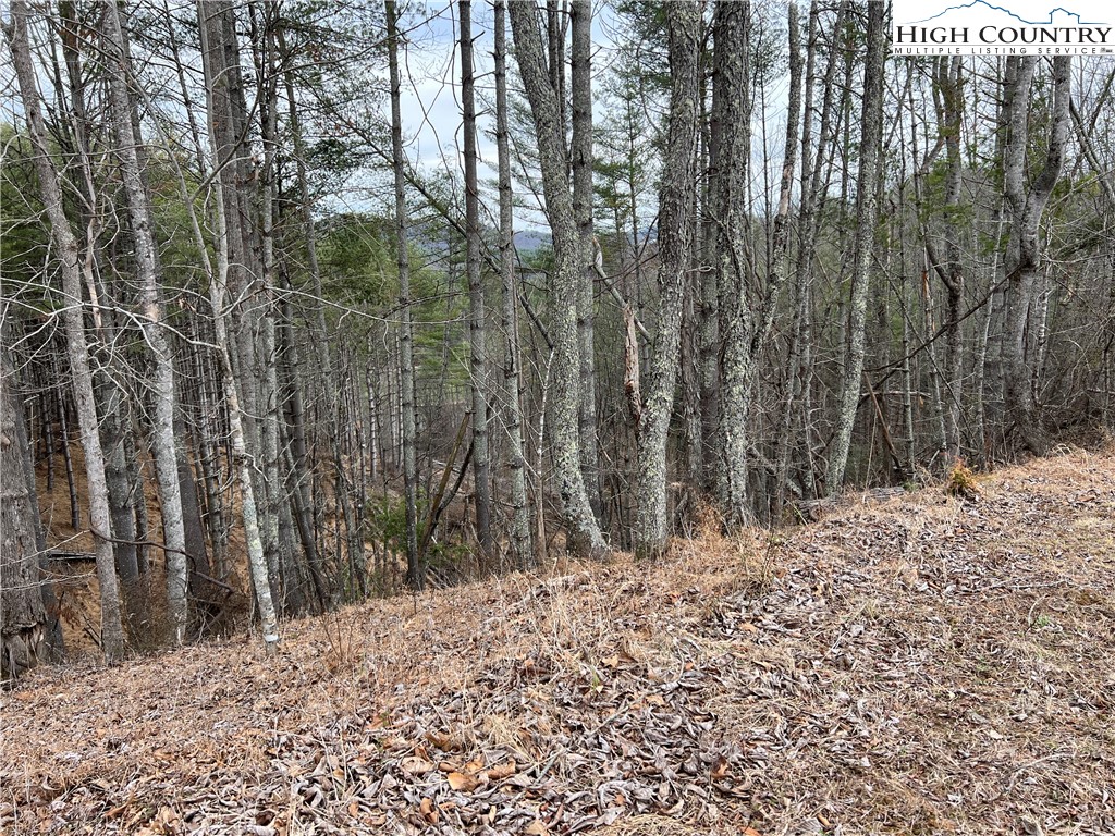 No # Edna Perry Road Property Photo 1