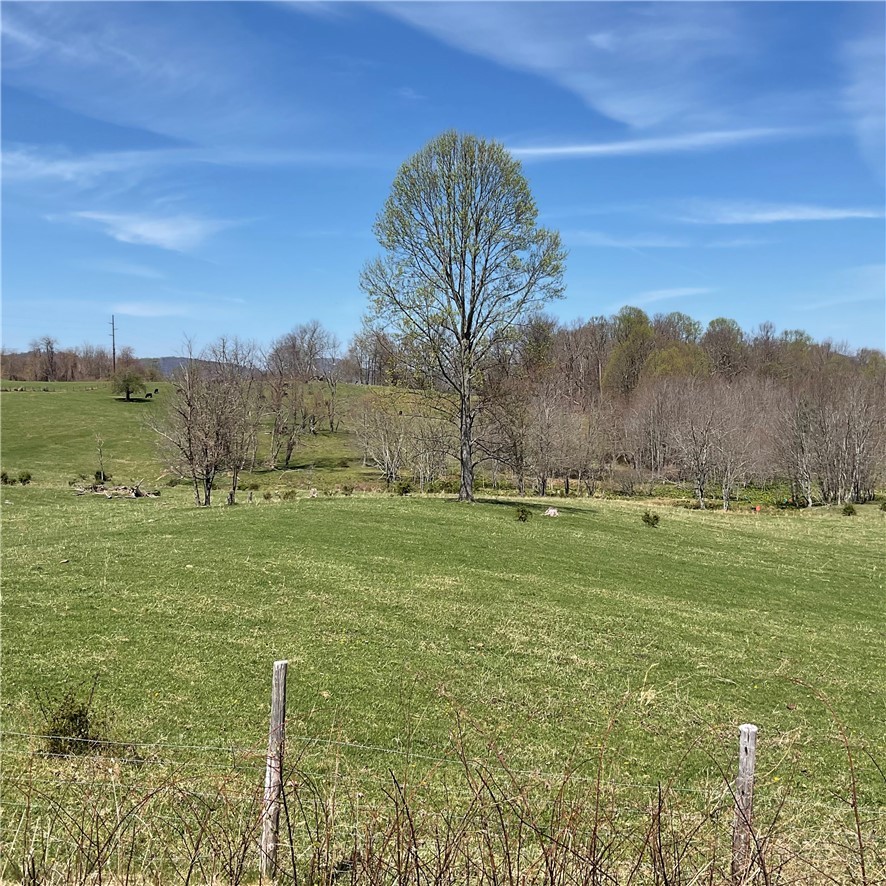 Tbd Us 21 South Highway Property Photo 1