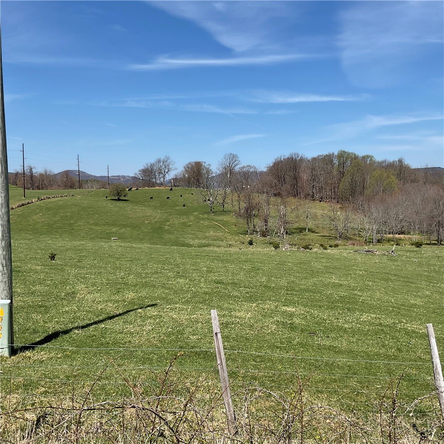 Tbd Us 21 South Highway Property Photo 6