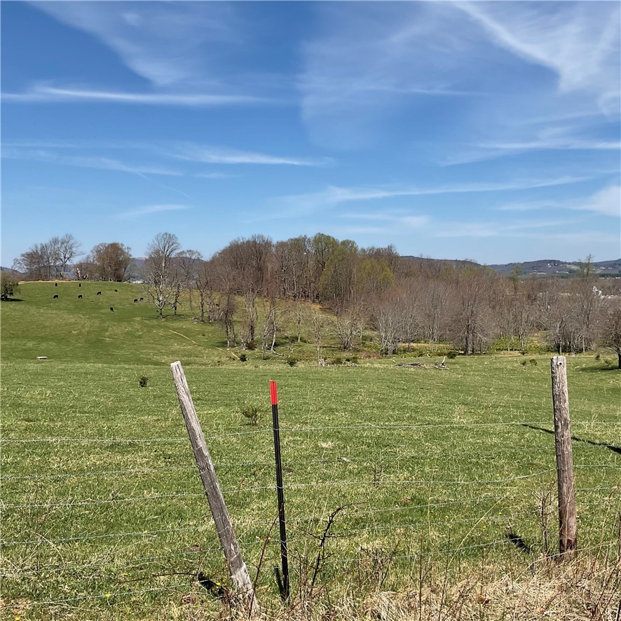 Tbd Us 21 South Highway Property Photo 8