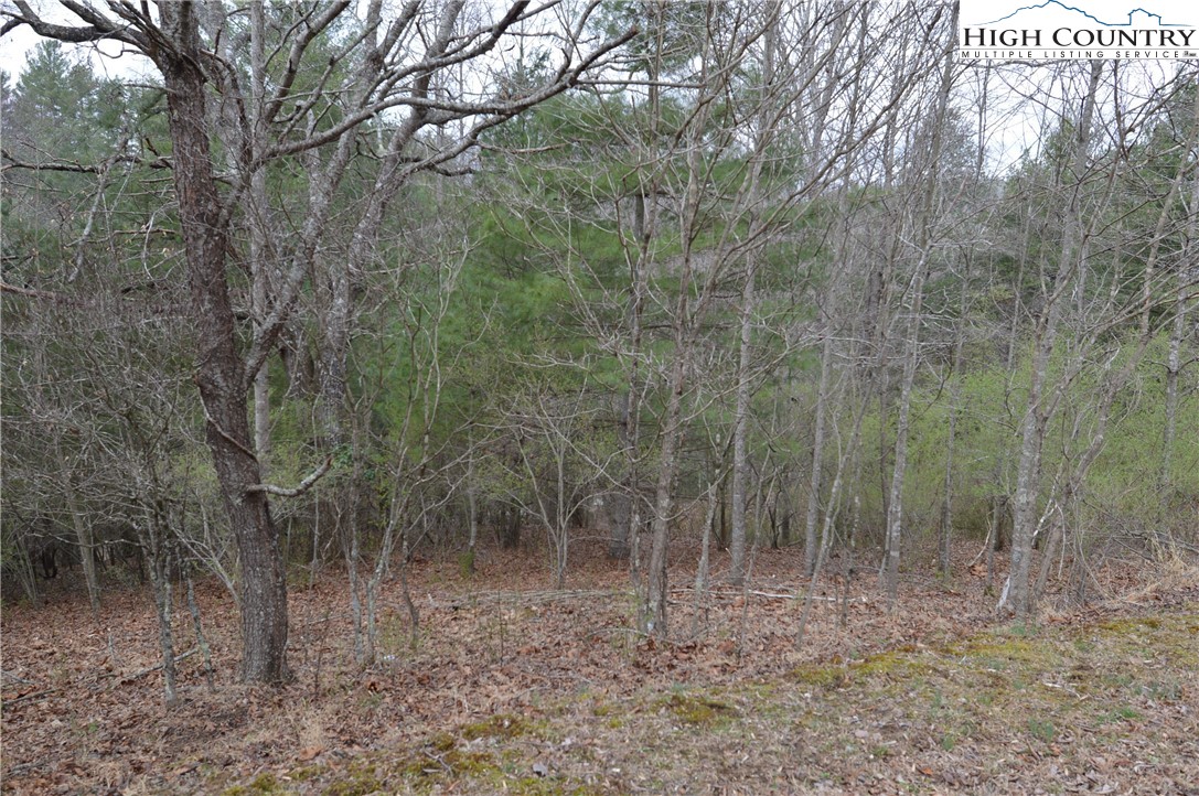 Lot #9 Isabel Way Property Photo 1