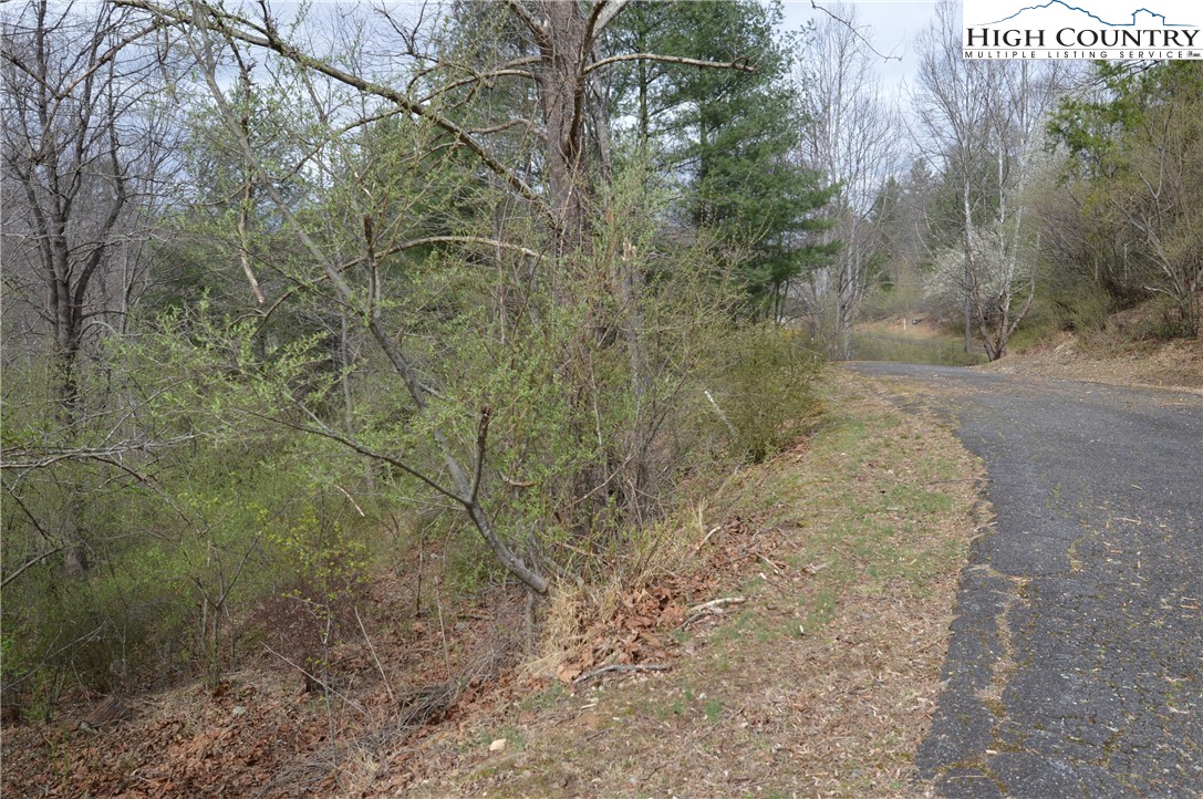 Lot #9 Isabel Way Property Photo 2